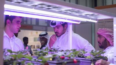 The third Global Forum of Innovations in Agriculture attracted scientists and specialists from more than 80 countries. Mona Al Marzooqi / The National