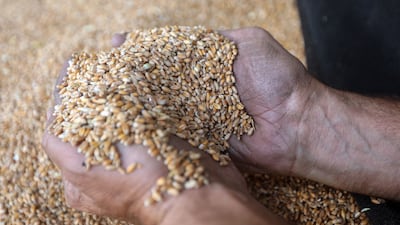 Supermarkets in the region are anticipating pressure on food prices this year as a result of attacks on ships in the Red Sea. Bloomberg