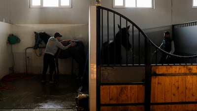 Workers clean the horses.