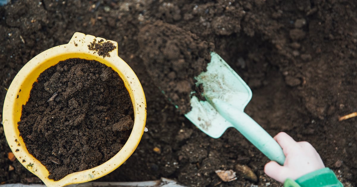 New UAE Organic Waste Facility Relies on Traditional Composting Techniques to Enhance Food Security New UAE Organic Waste Facility Relies on Traditional Composting Techniques to Enhance Food Security