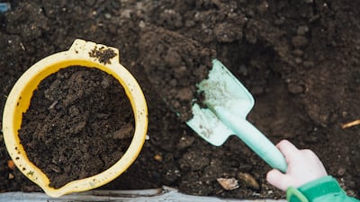 Soil benefits from additional nutrients, such as organic fertilisers and compost. Photo: Unsplash