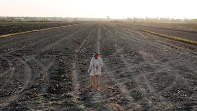 An Iraqi man stands on a dry field in an area affected by drought in the Mishkhab region, central Iraq. AFP