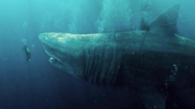 The Meg. Courtesy Warner Bros. Pictures