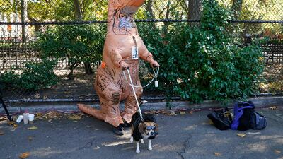 Humans get in costume as much as the dogs. AFP