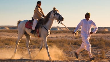 Discover Brouq – Qatar’s winter desert experience