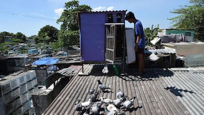 Fifteen-year-old aspiring pigeon fancier Christopher Sibug inspects his pigeons at his home inside a cemetery in Manila.