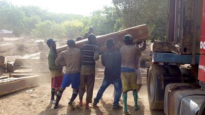 Workers load timber onto a container in Sintchan Companhe, Guinea. Forest products from Africa make up about 4 per cent of China’s total imports. Joe Penney / Reuters