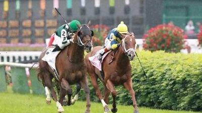 Regally Ready had a smooth journey to Dubai, and he will run in the Meydan Sprint.