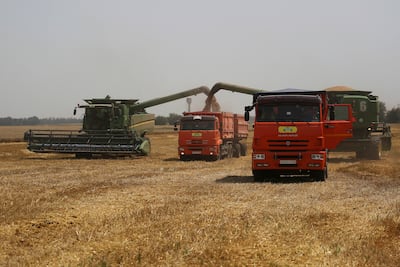 Farmers harvest with their combines in a wheat field near the village of Tbilisskaya in Russia. AP