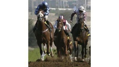Horses charging up the hill at Jebel Ali, which will host its second meeting of the season today.