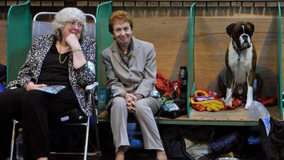 A Boxer dog sits with its owners. (Andrew Yates / AFP Photo / March 6, 2014)
