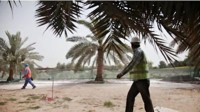 The project to improve Mushrif Park is due to be completed by 2015. Trees tagged with blue notes will be uprooted and moved. Lee Hoagland / The National