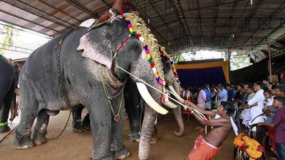 A mahout tightens a rope as he drapes a caparison onto an elephant's head during festivities marking the annual harvest festival of Onam in Kerala. Money sent home by Indian expats helps to sustain the Keralan economy. Sivaram V / Reuters