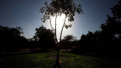 Abu Dhabi aims to generate more electricity from renewable sources, such as harnessing the power of the sun through solar installations.