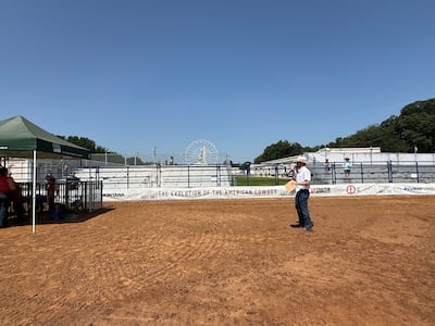 Few spectators attended a July 1 showing of beef cattle at a rodeo ground erected at the Great American State Fair site in Washington. Thomas Watkins / The National