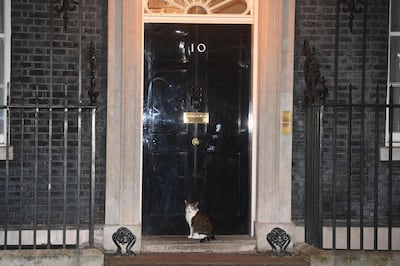 Apart from Larry the cat, the door to 10 Downing Street stood empty during the Clap for Heroes initiative in London. EPA