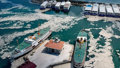 'Sea snot', a thick, viscous fluid produced by phytoplankton, surrounds vessels in the Sea of Marmara off the coast of Istanbul, Turkey. AFP