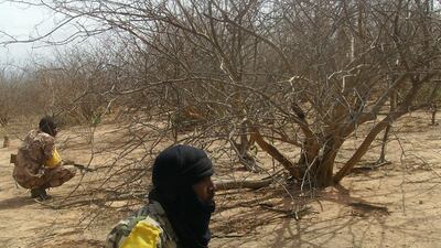 Malian troops shown in 2011 search for Al Qaeda in the Islamic Maghrab (AQIM) militants in the Wagoudou forest. AFP