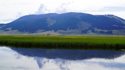 The conservation area was created in 1912 to protect habitat and provide sanctuary for one of the largest elk herds. Willy Lowry / The National