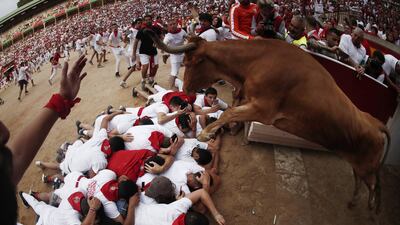 A young bull jumps over mozos or runners as it enters the bullring during the Festival of San Fermin 2018 in Pamplona, Spain. EPA