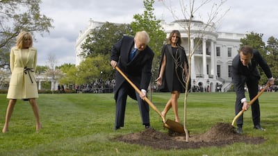 US President Donald Trump and French President Emmanuel Macron planted an oak tree on the grounds of the White House in April 2018. AFP