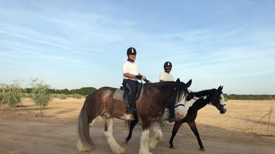 Equine therapy at Al Marmoom Initiative in Dubai.
