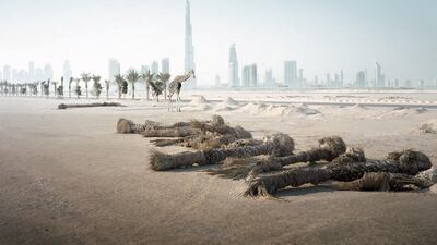 Photographer Richard Allenby-Pratt imagines a Dubai when all the humans have fled and only the animals are left. Courtesy Warehouse421