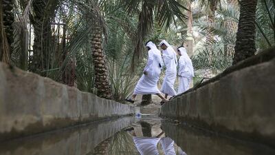 Young men are reflected in the water of an irrigation channel as they explore Al Ain Oasis on the first day of a 10-day trip through seven emirates leading to the 43rd National Day.