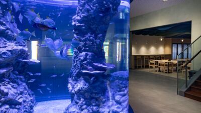 The centre cost more than Dh100 million to build