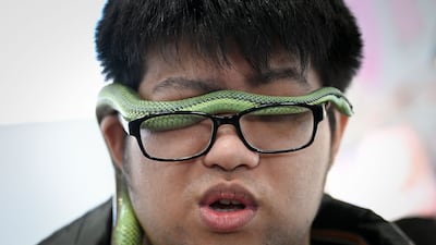 Snake eyes ... a visitor with his snake at a pet fair in Beijing. AFP