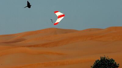 Peter Bergh hopes the 1,200 gramme bird-like device will be adopted by mainstream falconry. Satish Kumar / The National