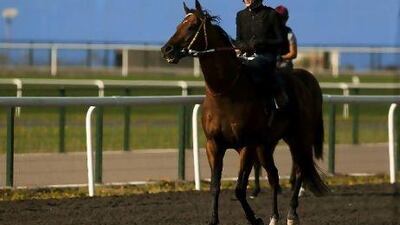 Christopher Soumillon and Musir will not have as far to go as Twice Over and will start from the seventh gate.