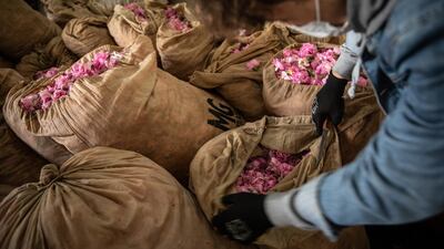 Demand for Turkey's rose products remains high. Getty Images