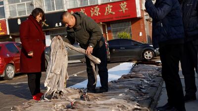 A man looks at mink furs at an open air market in Li county, Hebei province, China. Reuters