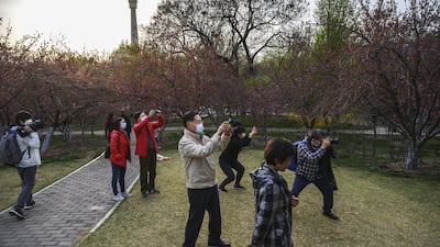 People wear protective masks as they take photos of blossoms while enjoying the spring weather at a park in Beijing, China. Getty Images