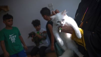 There are a total of 10 cat in residence. AFP