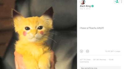 A kitten, complete with red cheeks just like in Pokémon, with the tag 'I have a Pikachu kitty'.