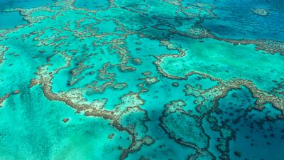 Hardy Reef, part of the Great Barrier Reef, as seen from the air. Australia has managed to convince Unesco not to downgrade the Great Barrier Reef's World Heritage status. Great Barrier Reef Marine Park Authority