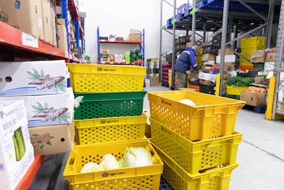 Right Farm's cold storage unit in Dubai's Ras Al Khor area. Antonie Robertson/The National