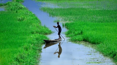 An Indian boy inspects his paddy fields submerged by monsoon rain in Nagaon district of Assam state, India. EPA