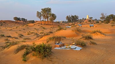 There are many picnic locations to choose from including desert reserves. Courtesy Victor Romero