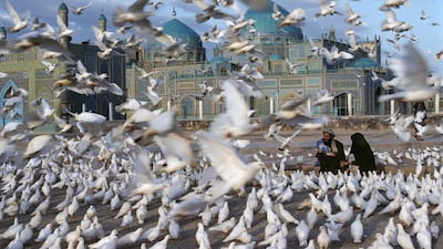 Blue Mosque, Mazar-e-Sharif, 1992. Copyright ©Steve McCurry / Magnum Photos