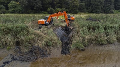 Diggers work on the new intertidal habitat in Cornwall. PA