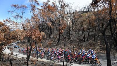 The peloton rides through a bushfire-ravaged area in the Adelaide Hills during Stage 2 of the Tour Down Under on Wednesday, January. EPA