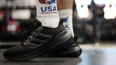 Heavyweight MMA fighter Pouya Rahmani.