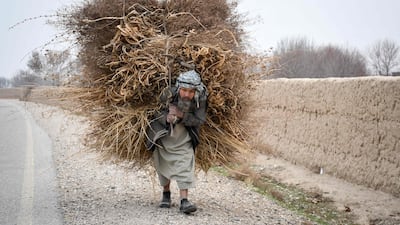 A man heaves a hefty bundle of firewood along a roadside in the Koshkak area of Balkh province, Afghanistan. AFP