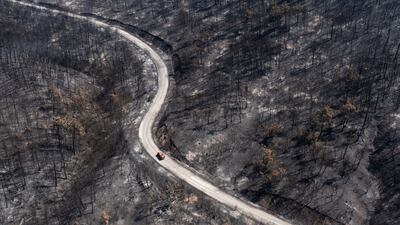A fire department vehicle passes through a burnt forest in Dadia National Park, a major sanctuary for birds of prey
