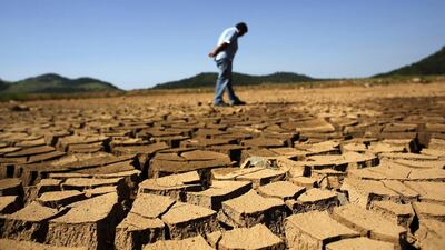 A government worker surveys the cracked ground of Jaguari dam, which is part of the Cantareira reservoir in Sao Paulo. Brazil on January 2014 saw the driest summer on record in Sao Paulo. Roosevelt Cassio / Reuters