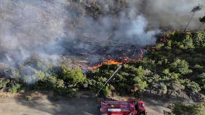 Emergency and civil defence teams work to extinguish a wildfire in Rabia, in the Latakia countryside of Syria. AP