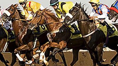 Horses head down the track during the third race on the opening day at the Jebel Ali Race Course.